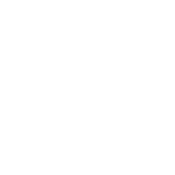 Icono de pause en color blanco.